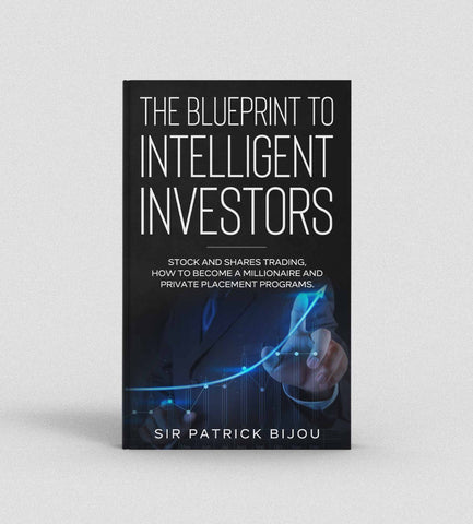 The Blueprint To Intelligent Investors 1